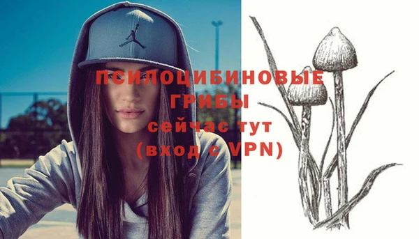 амфетамин Липки
