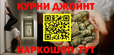 трава Гатчина