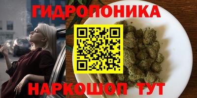 ешки Гай