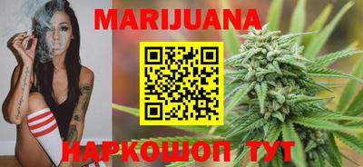 трава Гатчина
