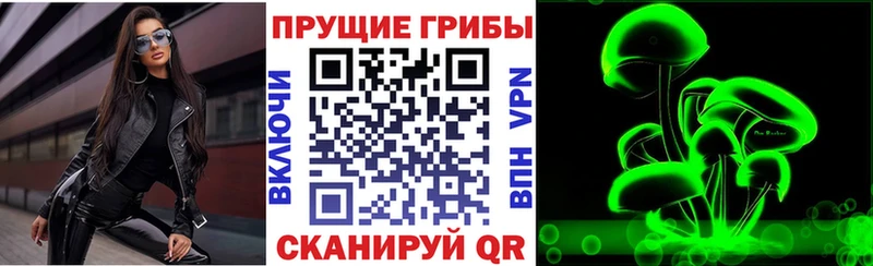 где купить   Стерлитамак  Псилоцибиновые грибы прущие грибы 